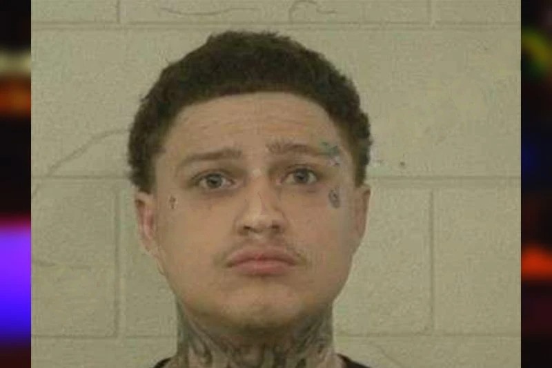 Jayson Albino Mugshots