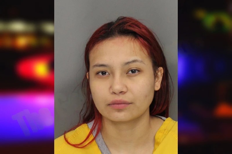 Jazmin Perez Mugshots