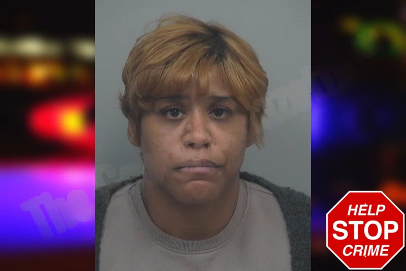 Jazmin Wilson Mugshots