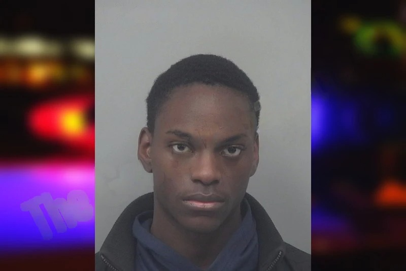 Jean Ahmadu Mugshots