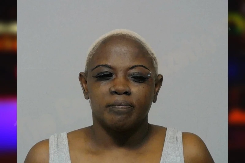 Jeanette Sands mugshot – Bibb County , Georgia Jeanette Sands mugshot