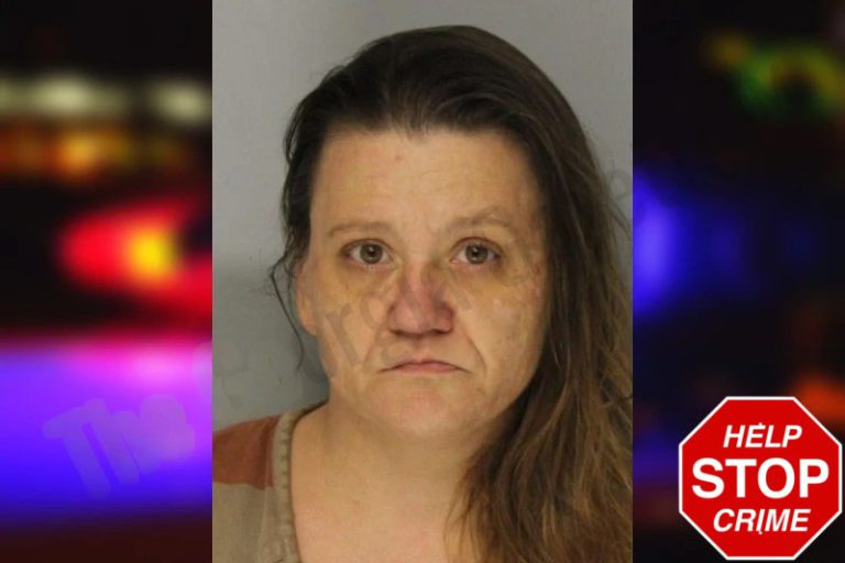 Jeanie Wildes mugshot – Hall County , Georgia Jeanie Wildes