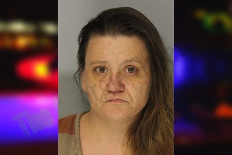 Jeanie Wildes Mugshots