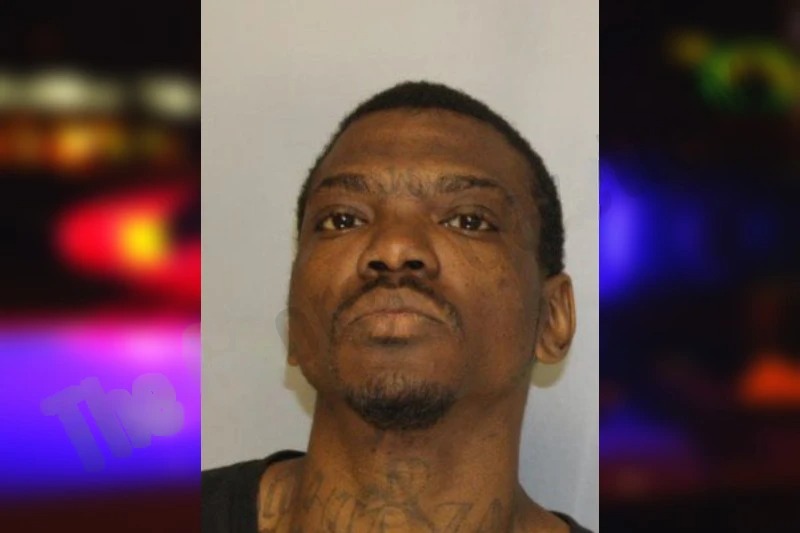 Jeffrey Wilkins Mugshots