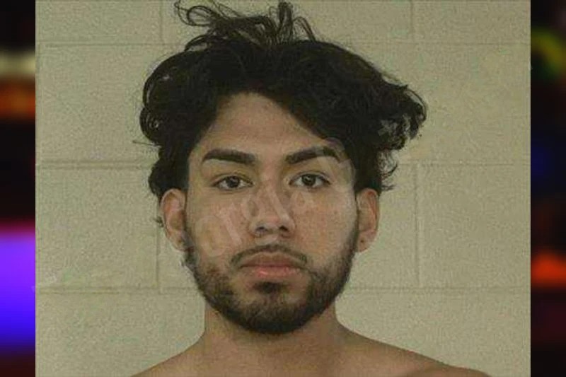 Jelany Aguirre Mugshots