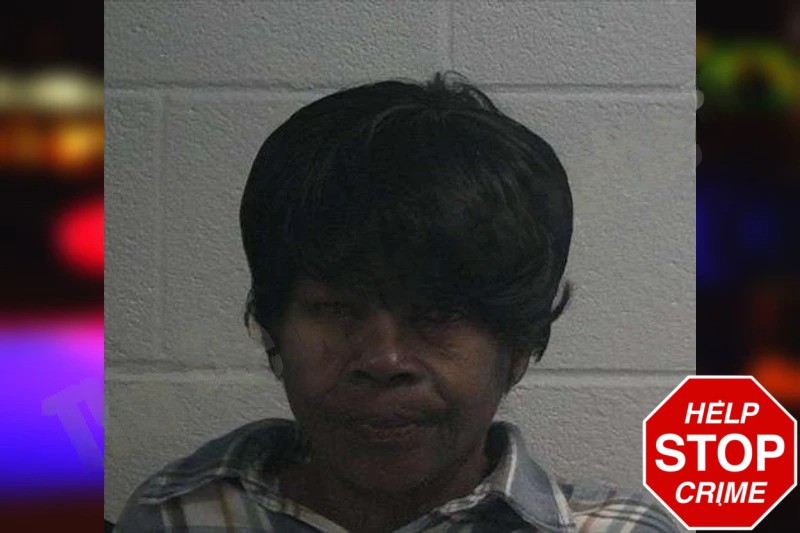 Jennie Johnson Mugshots