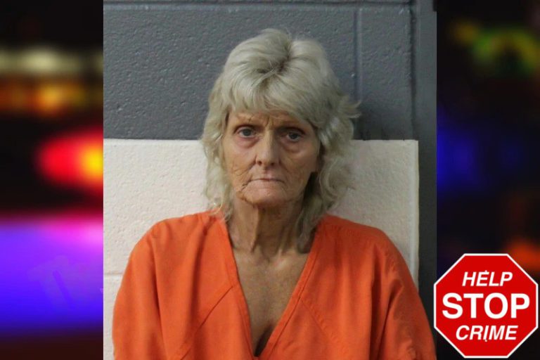 Jennie Jones mugshot – Lumpkin County , Georgia Jennie Jones