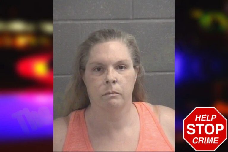 Jennie-Ray Royea mugshot – Spalding County , Georgia Jennie-Ray Royea