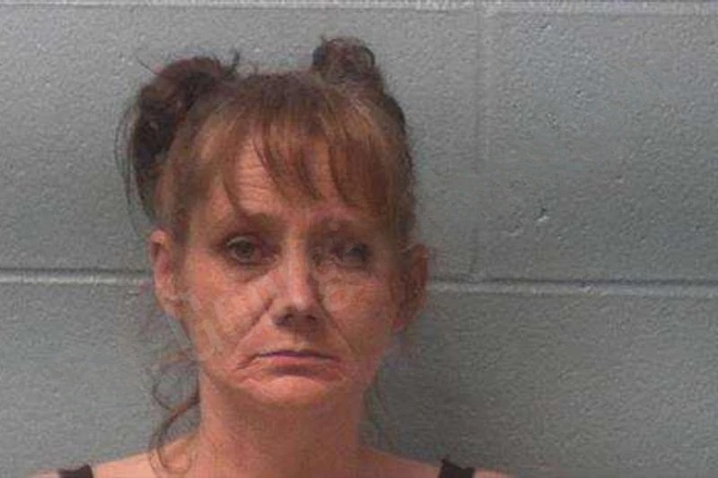 Jennifer Davis mugshot – Franklin County , Georgia Jennifer Davis mugshot