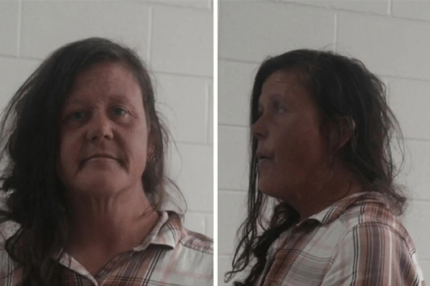 Jennifer Green Mugshots