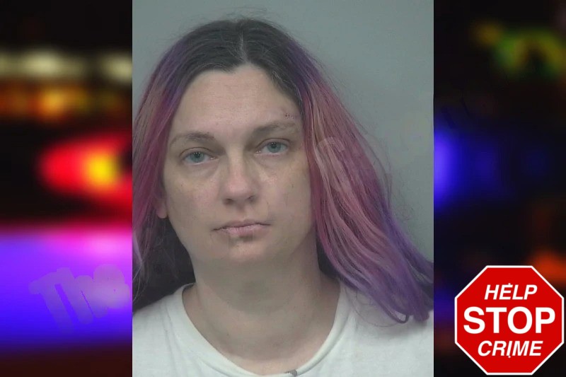 Jennifer Hoff Mugshots