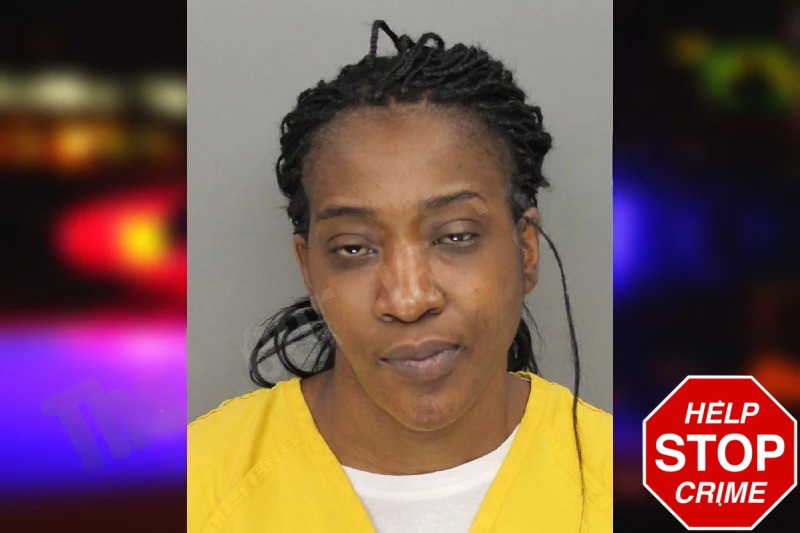 Jennifer Sanford Mugshots