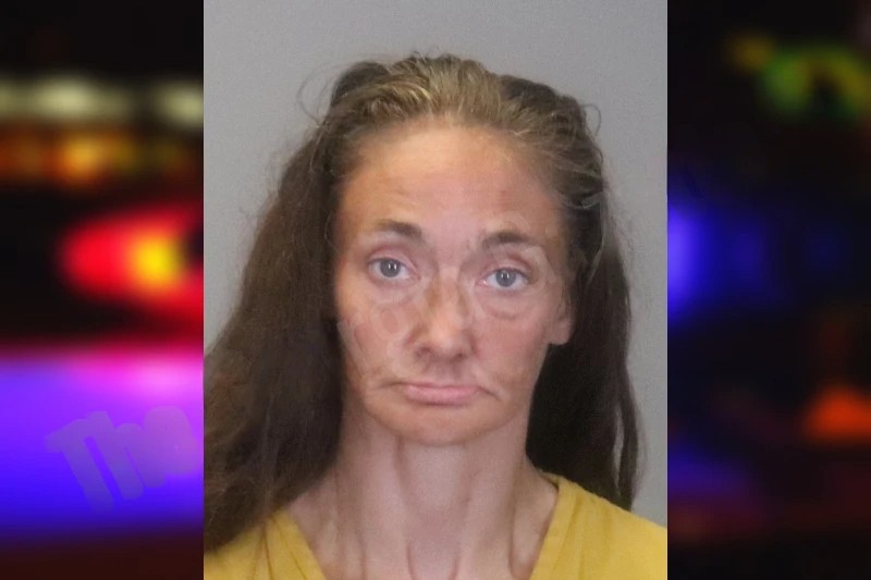 Jennifer Self Mugshots