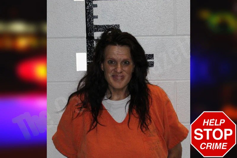 Jennifer Verner Mugshots