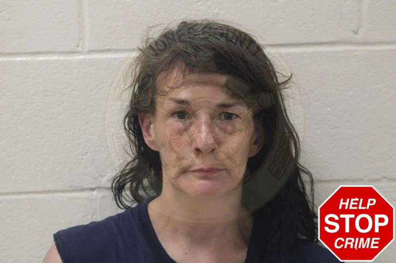 Jennifer Waller Mugshots