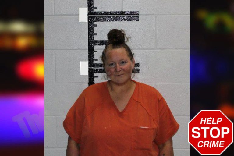 Jennifer Wise mugshot – Murray County , Georgia Jennifer Wise