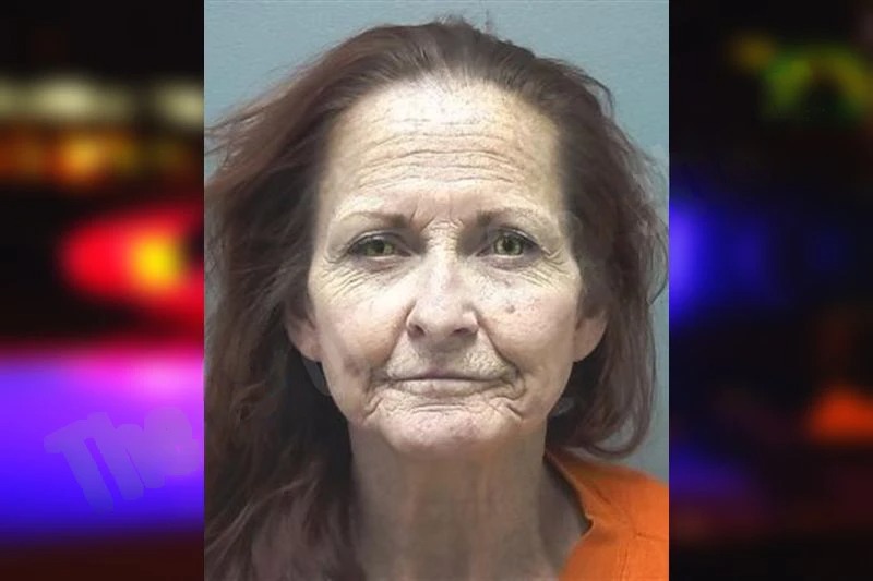 Jenny Hollifield Mugshots