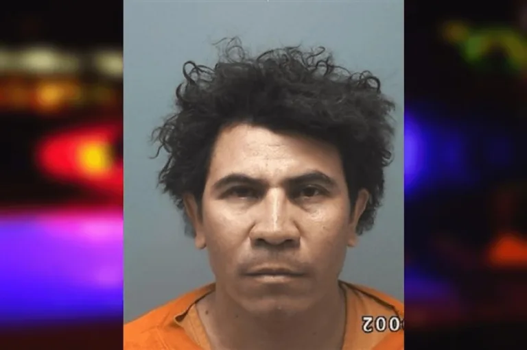 Jeremias Elias mugshot – Cherokee County , Georgia Jeremias Elias