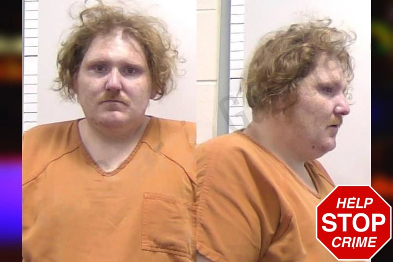 Jeremy Wilson Mugshots