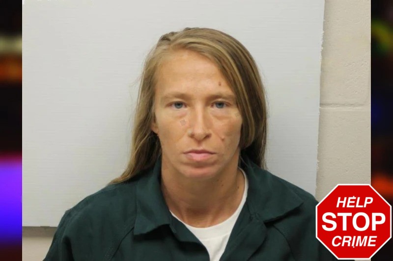 Jerri Lewis-Hannah Mugshots