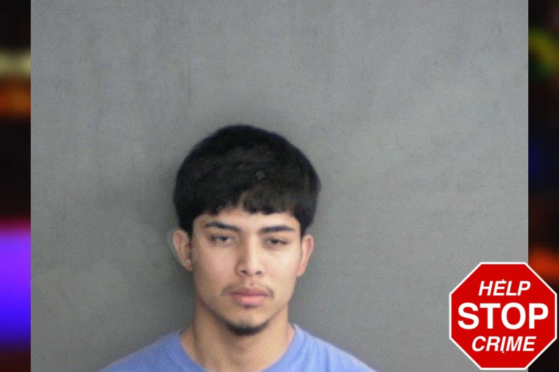 Jerson Roldan Mugshots