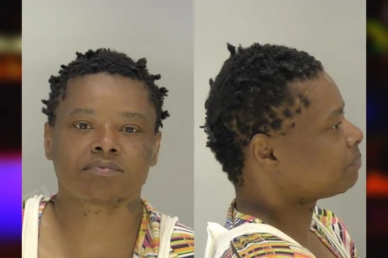 Jessica Austin Mugshots