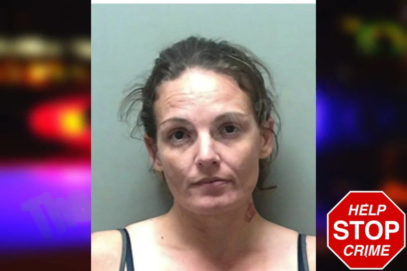 Jessica Fernaays Mugshots