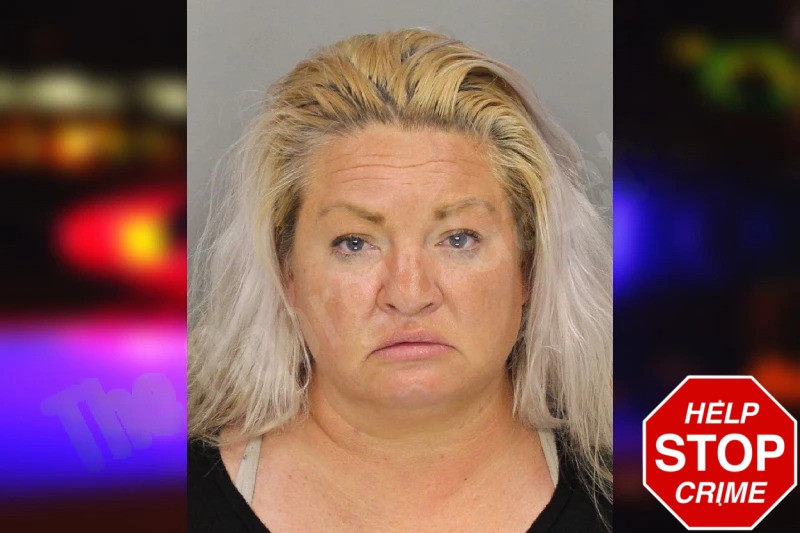 Jessica Hanlin Mugshots