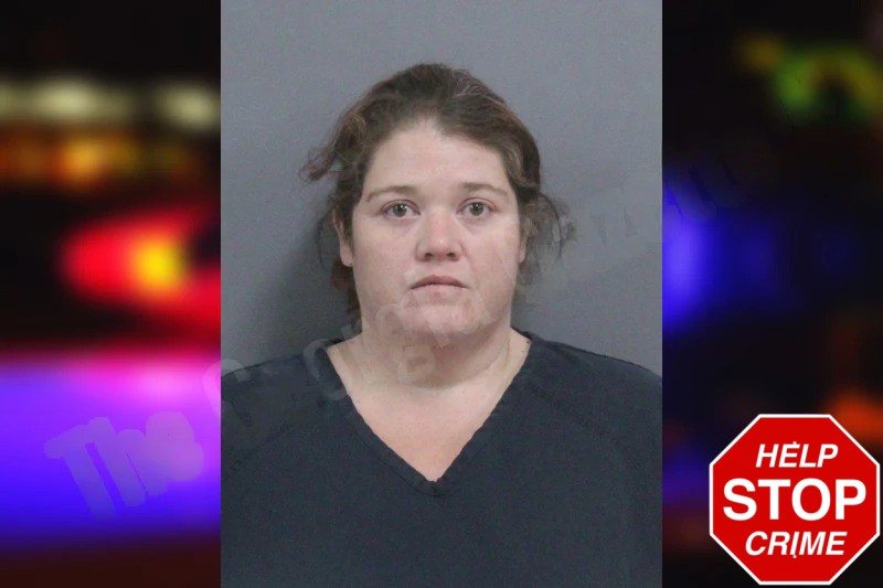 Jessica Holsomback Mugshots