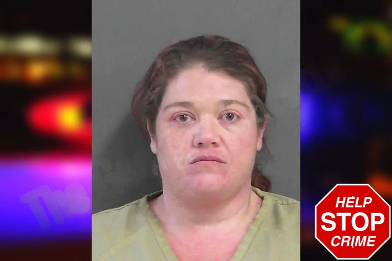 Jessica Holsomback Mugshots