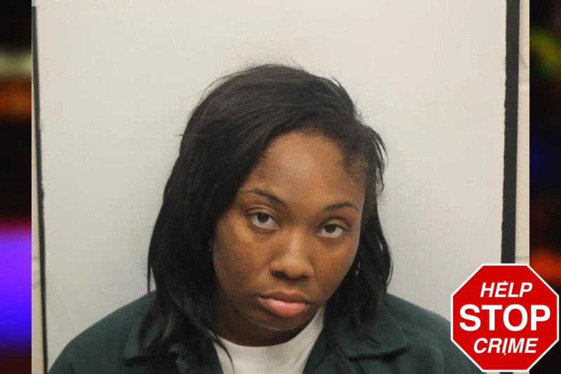 Jessica Jaymes Mugshots