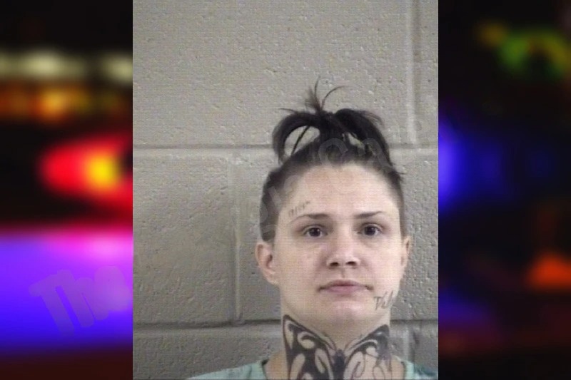 Jessica Jordan Mugshots