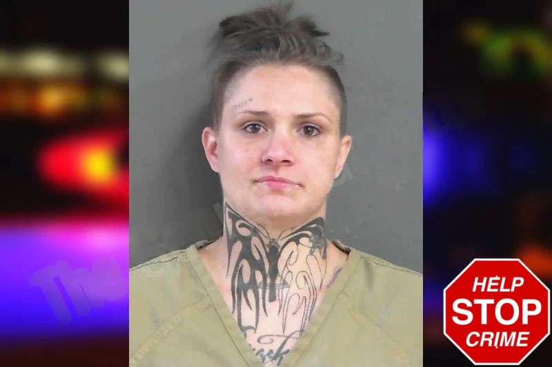 Jessica Jordan Mugshots