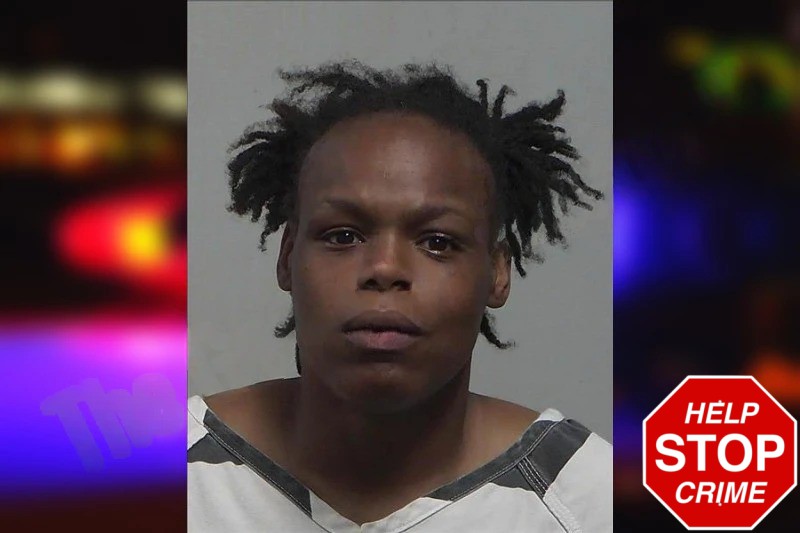 Jessica Pina Mugshots