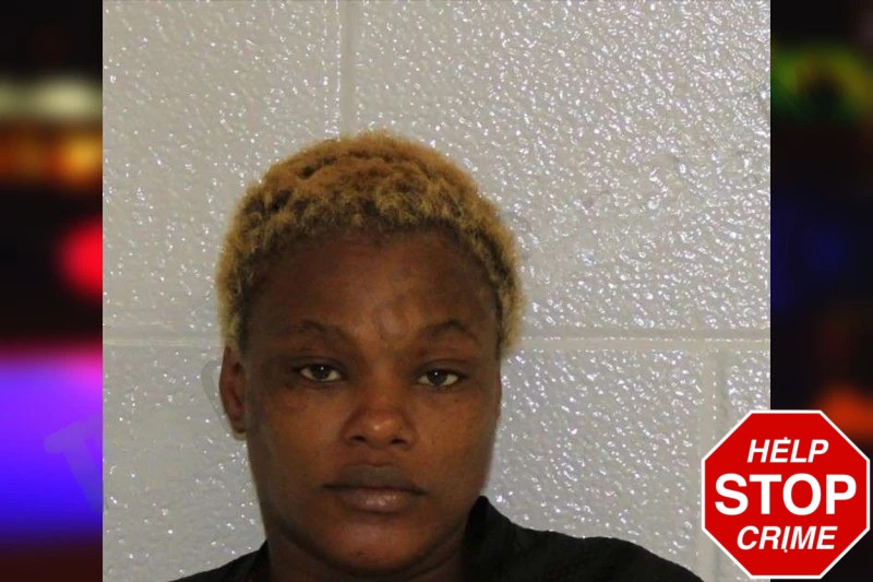 Jessica Shooks Mugshots