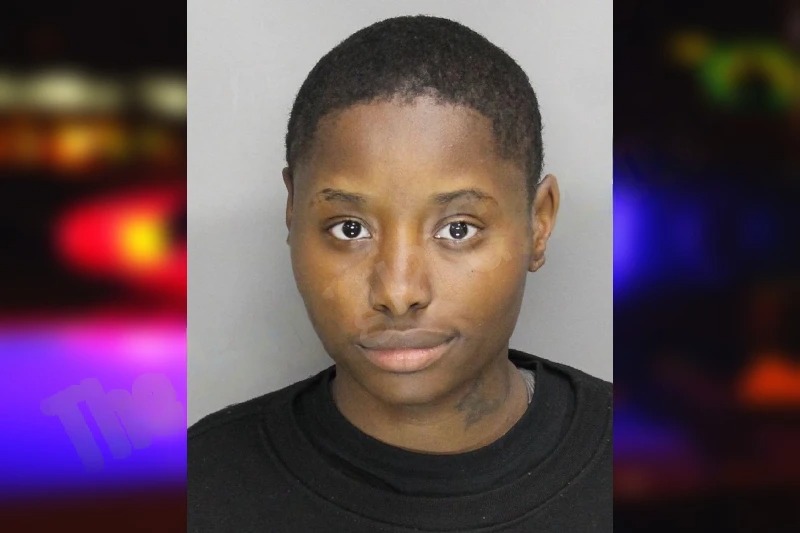 Jessica Smith Mugshots