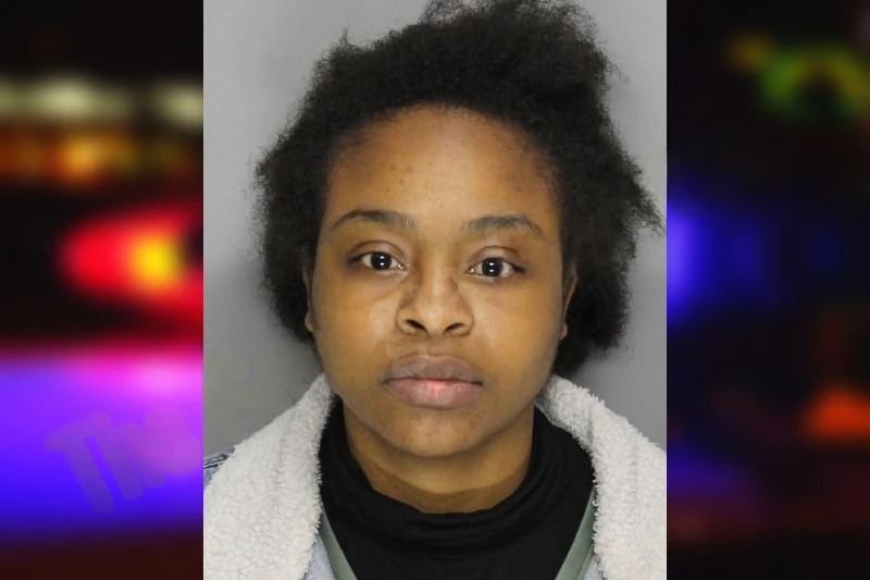 Jhovanna Robinson Mugshots