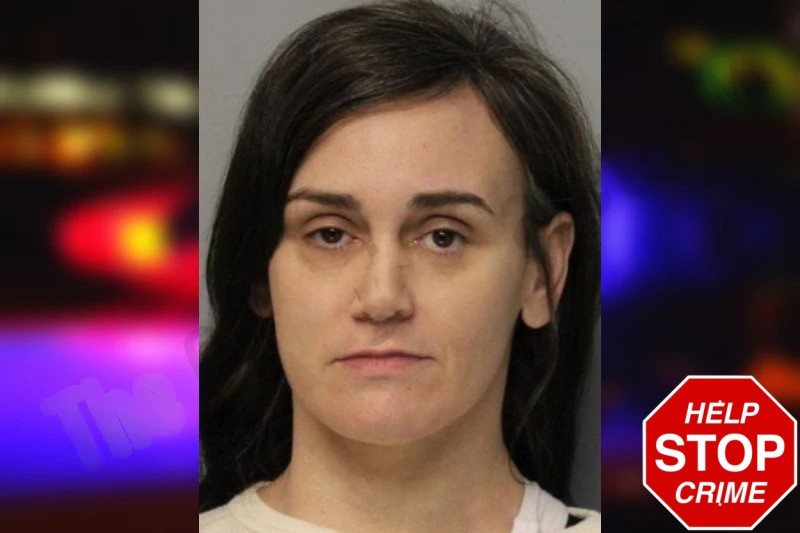 Joanna Barrett mugshot – Hall County , Georgia Joanna Barrett mugshot