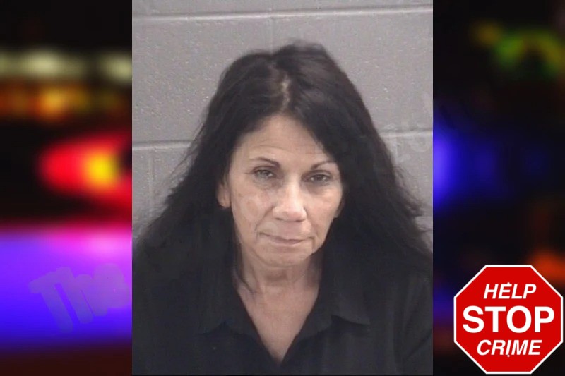 Joanna Theodorakis Mugshots