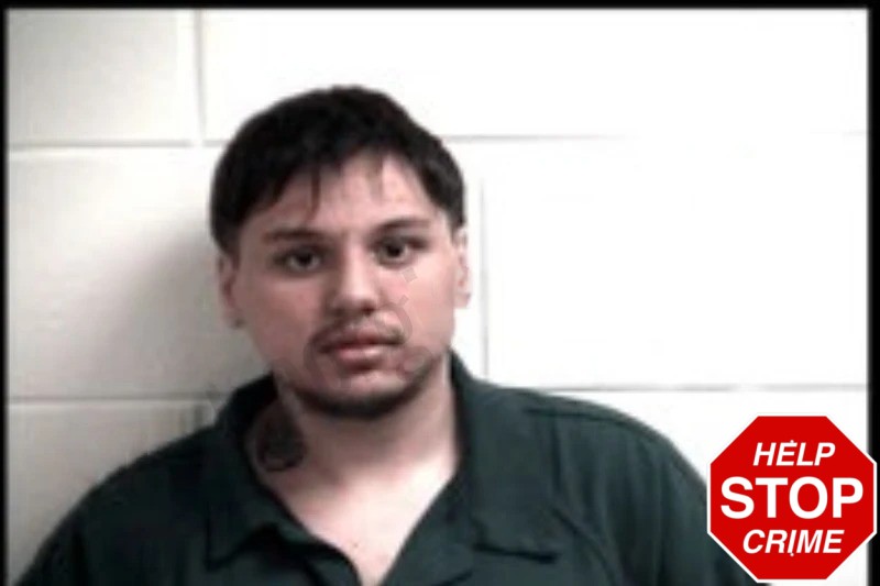 Johnathan Jenkins mugshot – Henry County , Georgia Johnathan Jenkins mugshot