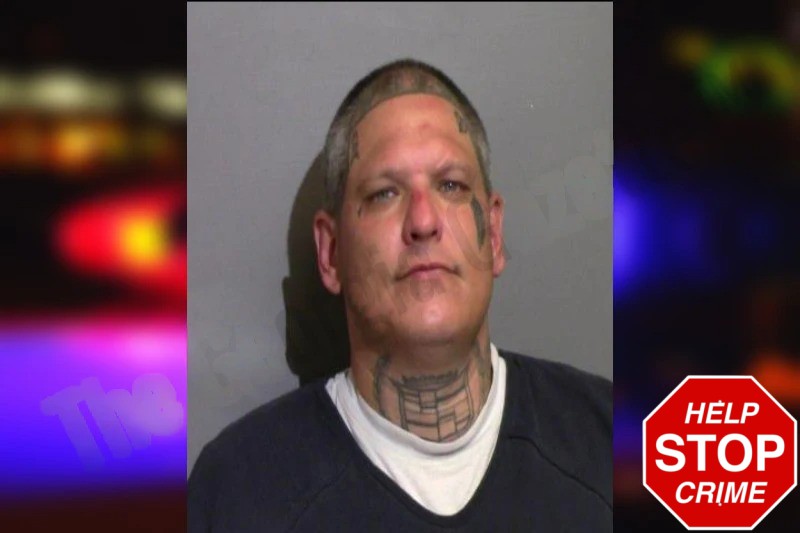 Johnny Collins Mugshots