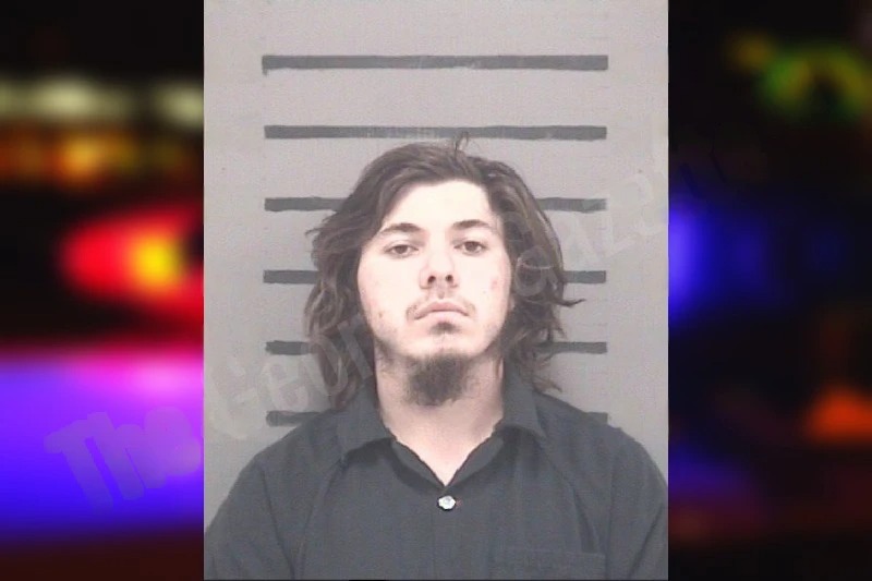 Jordan Davis Mugshots