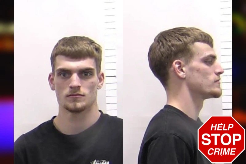 Jordan Emily Mugshots