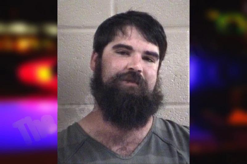 Jordan Wilson Mugshots