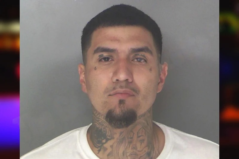 Jose Macedo Mugshots