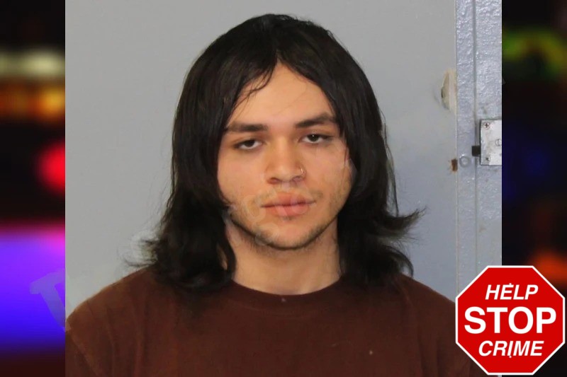 Jose Navarro Mugshots