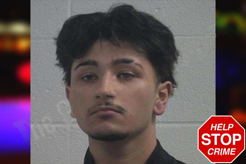 Joseluis Cortes Mugshots