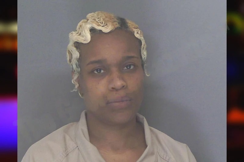 Josette Sanders Mugshots