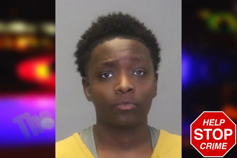 Journee Dumas Mugshots