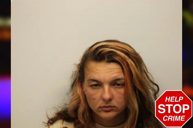 Journey Rogers Mugshots